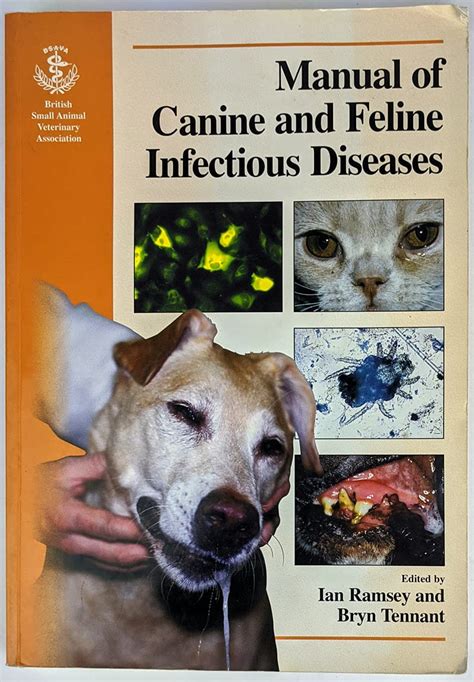 Bsava manual of canine and feline infectious diseases bsava british small animal veterinary association. - Acg 4201 mcgraw hill solutions manual.