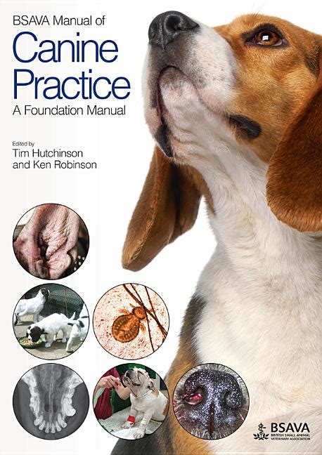 Bsava manual of canine practice a foundation manual bsava british small animal veterinary association. - New practical chinese reader vol 1 english and chinese edition.