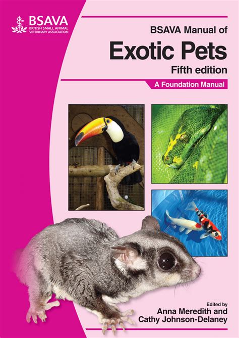 Bsava manual of exotic pets bsava british small animal veterinary association. - Ktm 200 1998 2003 factory service repair manual download.