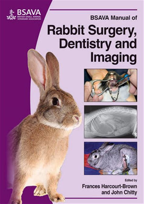 Bsava manual of rabbit surgery dentistry and imaging. - Craftsman briggs stratton 675 owners manual.