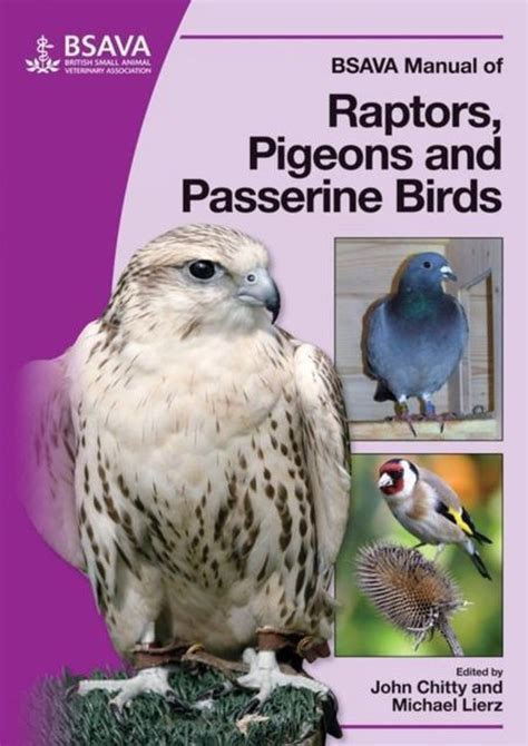 Bsava manual of raptors pigeons and passerine birds. - Laboratory fume hoods a user s manual.