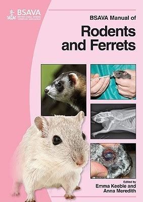 Bsava manual of rodents and ferrets by emma keeble. - Dokumentation zur entwicklung in der ddr vom 7. oktober-19. november 1989.