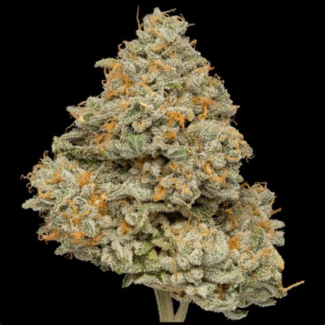 THC: 20%. White Bubba, also known as "White Bubba Kush," is an indica dominant hybrid strain created through crossing the classic The White X Pre-98 Bubba Kush strains. With parents like these, it's pretty obvious where the name comes from. Nonetheless, White Bubba has nugs that truly are insanely white!