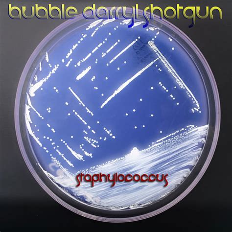 Bubble Darryl Shotgun Spotify