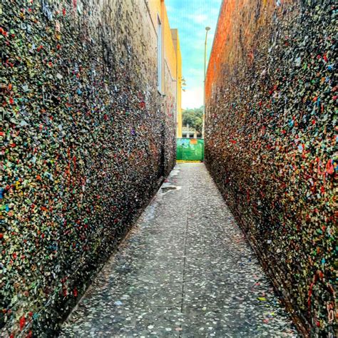 The history of Bubble Gum Alley is unclear and highly debated. According to the San Luis Obispo visitor’s bureau, some believe it started in the 1950s with a rivalry between high school students ....