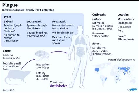 Bubonic Plague Symptoms and Treatment Everyday Health