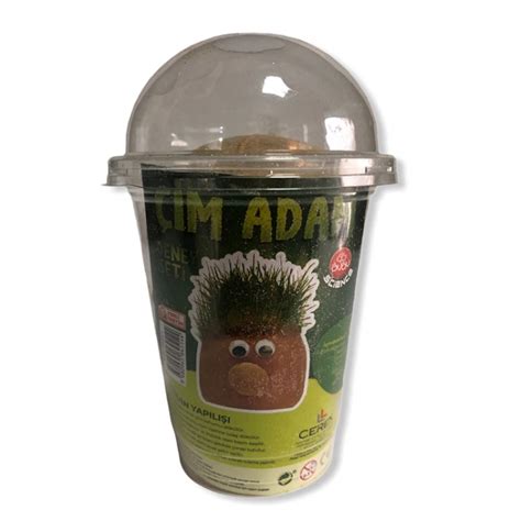 codini.rgarabwor.edu.pl. 