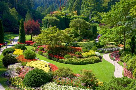 Buchard gardens. Things To Know About Buchard gardens. 