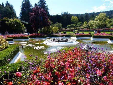Buchart gardens. The Butchart Gardens is an internationally renowned 55 – acre display garden located near Victoria, British Columbia. Created in 1904 by Jennie Butchart, and still privately owned and operated by the family, … 
