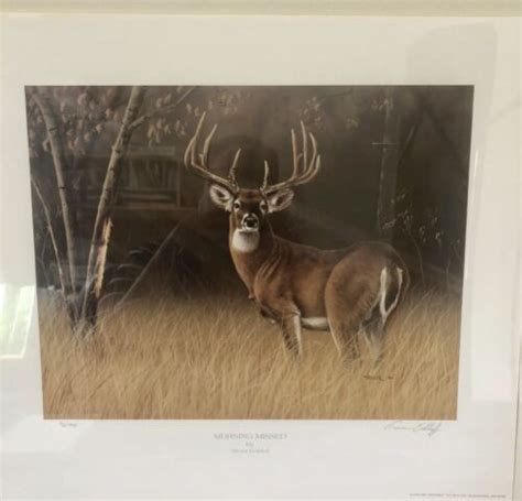 Buck Art Print Wildlife Nature Trevor Eckhoff Morning Missed