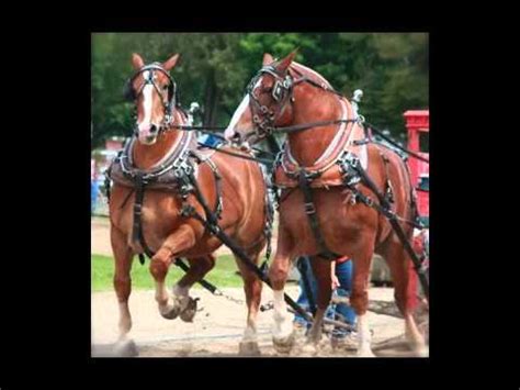 Buckeye Horse Pullers Association Mobile - YouTube