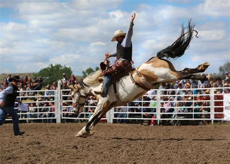 Bucking horse outpost. Things To Know About Bucking horse outpost. 