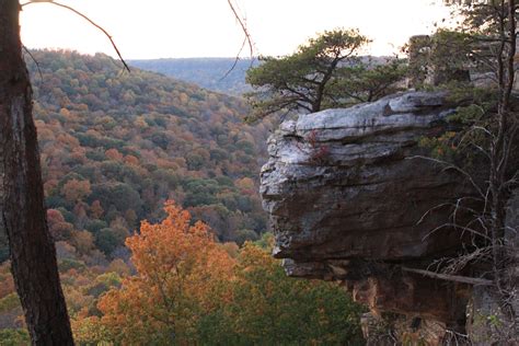 Bucks pocket state park. Things To Know About Bucks pocket state park. 