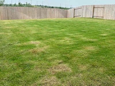 Buda Lawn Care & Mowing Services - Lawn Love of Buda