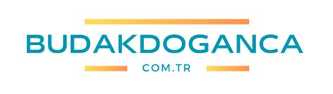 Budakdoganca Halı ve Koltuk Yıkama