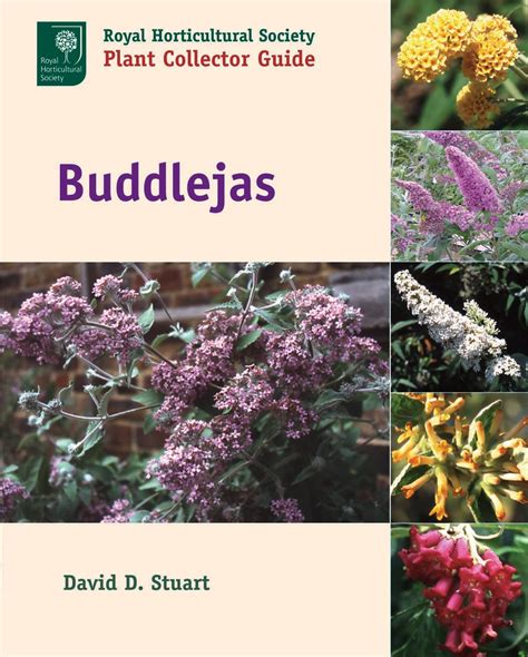 Buddlejas royal horticultural society plant collector guide. - Gesamtwirtschaftliche effekte der informations- und kommunikationstechnologien.