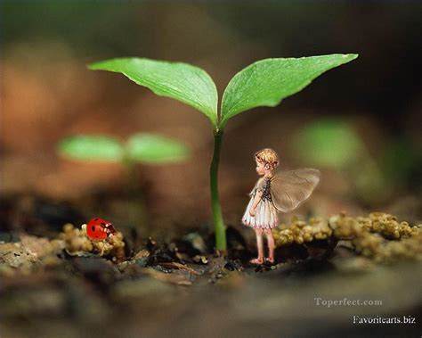 💋 Budfairysg Leaks XXX 28 Vids