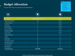 Budget Allocation Rebranding Process Presentation Graphics