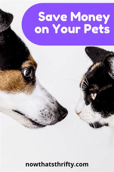 Budget pet care reviews. Things To Know About Budget pet care reviews. 
