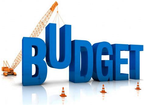 Budgetary support Definition Law Insider