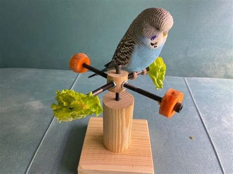 Budgie on Perch - Etsy UK