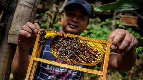 Gambar kerucut dan ukurannya