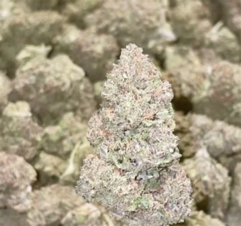 Budtrader michigan. Indoor Exotic Cannabis. Indoor /Exotic Units – $1250 323-696-0229 Please only call or text when ready to order Strains: Kosher Kush – Indica Sour Apple – Hybrid Wedding […] $. 38 days ago. 