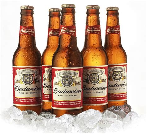 Budweiser beer brands. InBev, who renamed themselves as Anheuser-Busch InBev after purchasing Budweiser, owns Budweiser. The company also owns a number of the world’s most popular beer brands, including ... 
