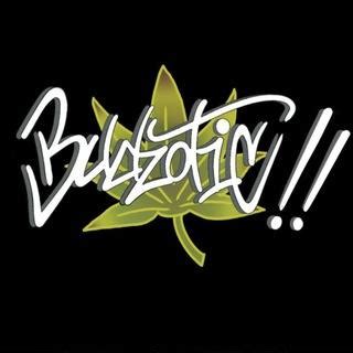 Budzotic. Download Bustic for free on your computer and laptop through the Android emulator. LDPlayer is a free emulator that will allow you to download and install Bustic game on your pc. 