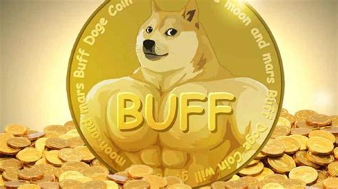 Buff Doge Coin (DOGECOIN) - CoinSniper