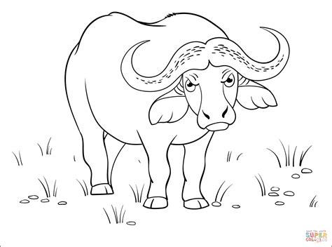 Buffalo Coloring Shee