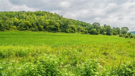 Buffalo county land for sale. 60 Lot/Land For Sale in Amherst County, VA. Browse photos, see new properties, get open house info, and research neighborhoods on Trulia. 