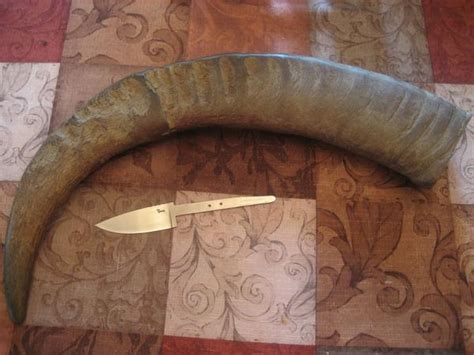 Buffalo horn scale question KnifeDogs.com Forums