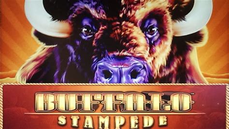 Buffalo stampede delaware