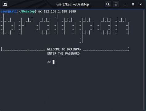 Buffer Overflows Made Super Easy With The BrainPan 1 VM