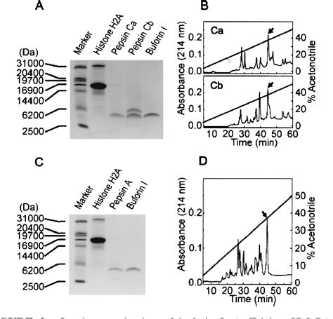 Buforins: Histone H2A-derived antimicrobial peptides …