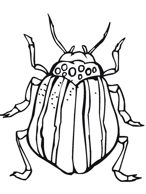 Bug Coloring Pages Printable