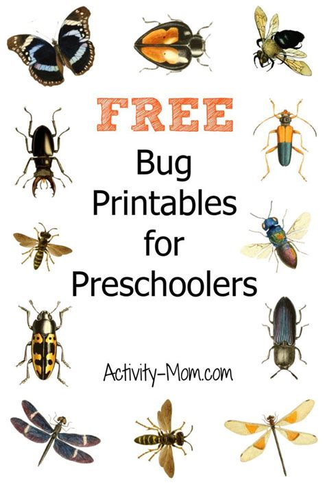 Bug Printables