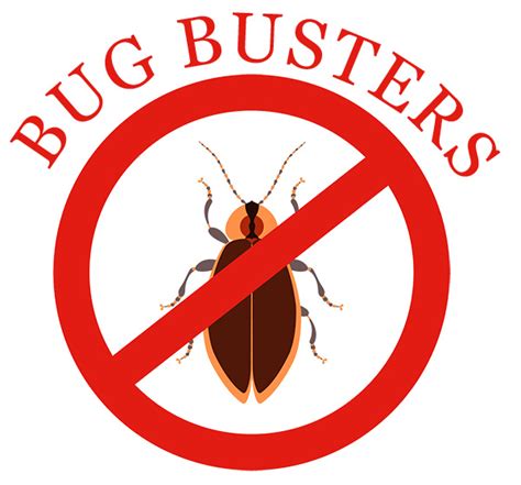 Bug busters. Things To Know About Bug busters. 