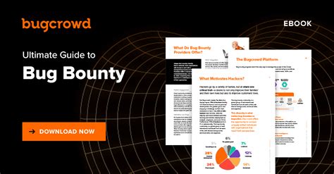 Bug detector online.  Report a vulnerability or start a free bug bounty program vi...