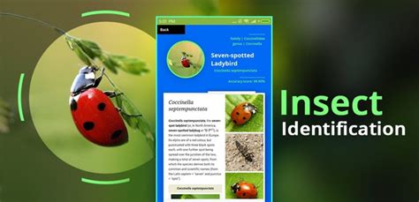 1. Picture Insect: Bug Identifier. Platforms: Android, iOS | Price: Freemium/Premium | Rating: 5. Picture Insect uses a giant insect encyclopedia for insect …. 