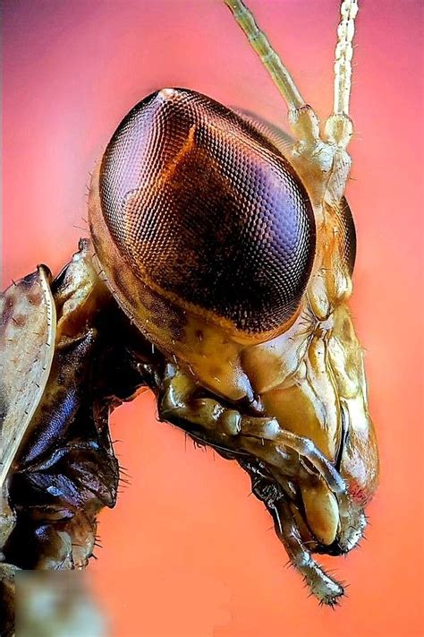 Buggiies Leaked [SEX VIDEO] 💦