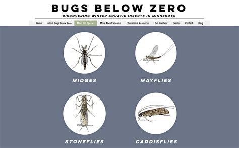 Bugs Below Zero