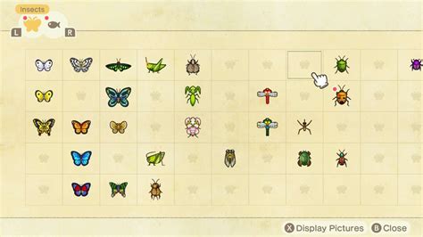 Bugs By Month: March Bugs Guide Animal Crossing: New Horizons (Switch ...