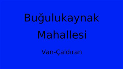 Bugulukaynak Halı ve Koltuk Yıkama