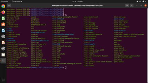 Build LLVM from source on Ubuntu WISESCIENCEWISE