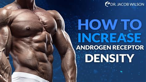 Build Muscle Increase Androgen Receptor Density