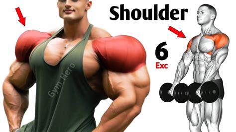 Build Shoulder Muscles 6 Basic Exercises