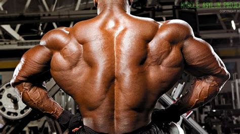 Build a Thicker Back in 28 Days