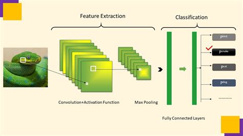 Build convolutional neural networks (CNNs) to enhance …